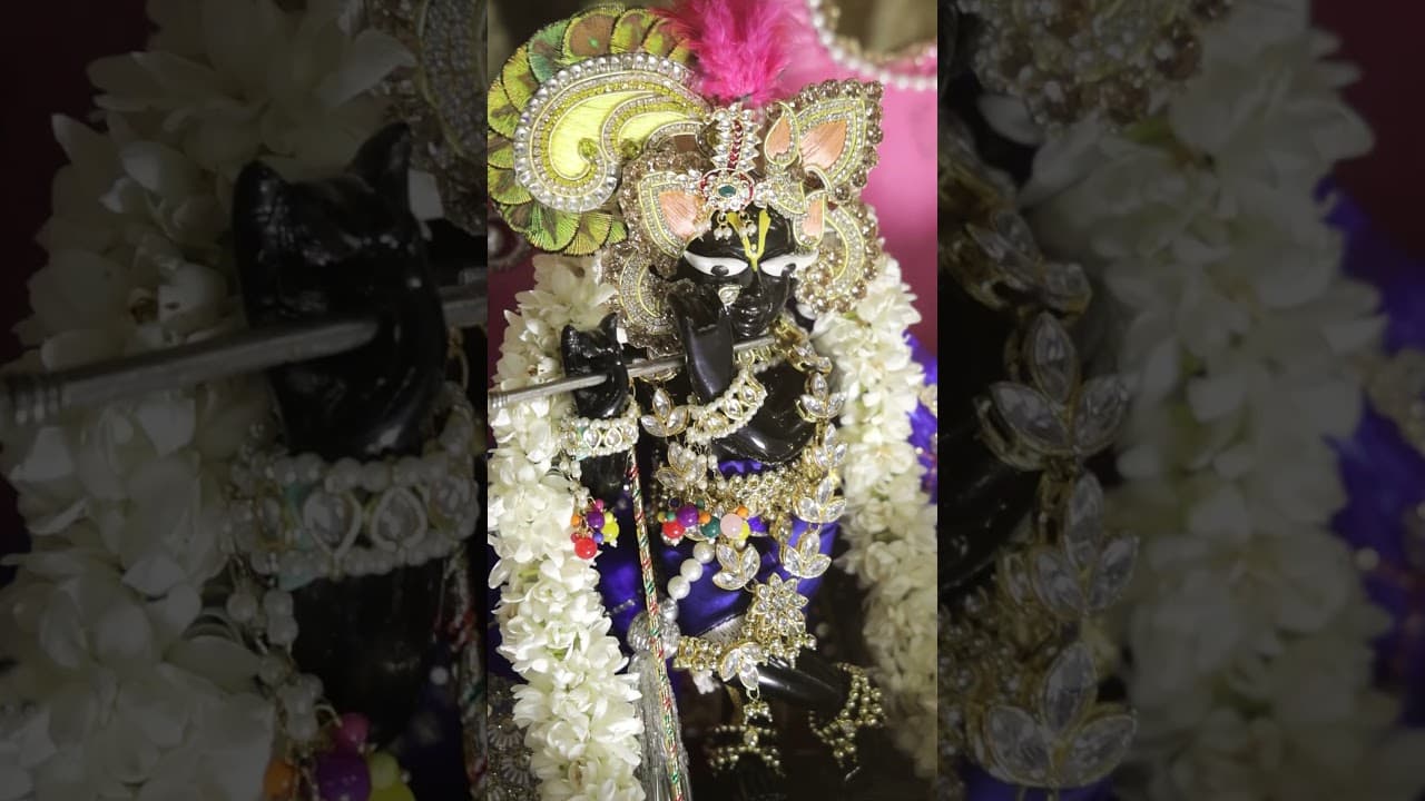 मेरठ में चल रही दिव्य कथा की प्यारी झलकियां || #meerut #shrimadbhagwatkatha #spiritualevent