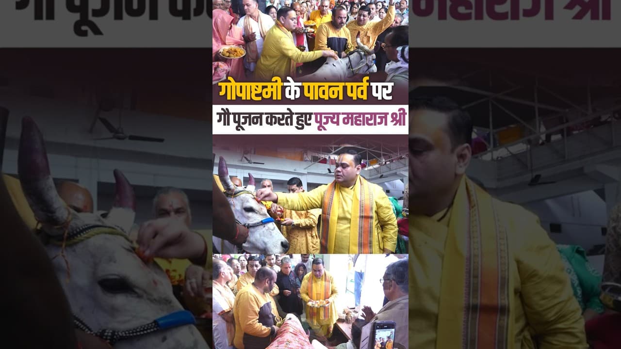 गोपाष्टमी के पावन पर्व पर गौ पूजन करते हुए पूज्य महाराज श्री | #gopastami #shortsfeed #ytshorts